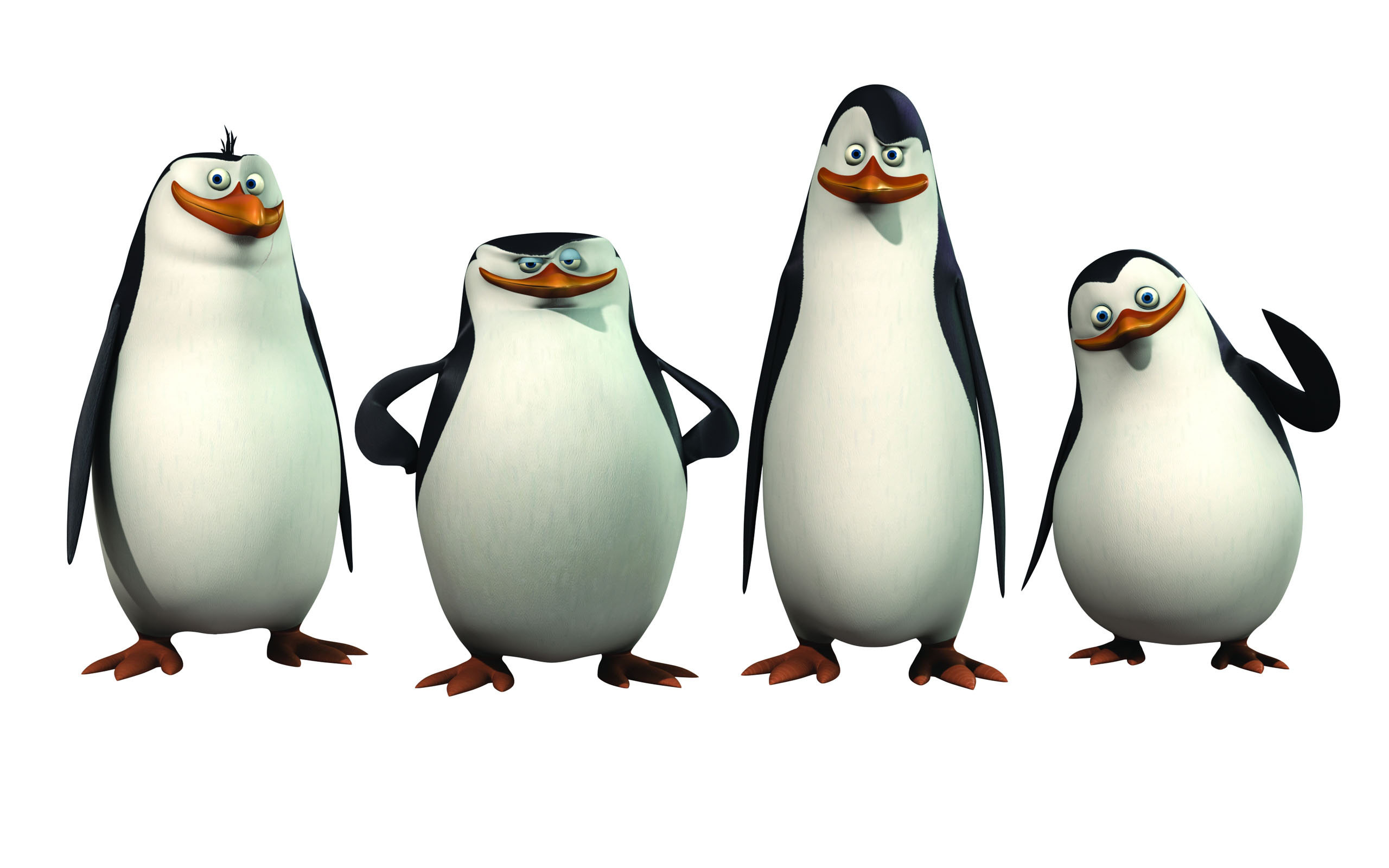 Penguins Of Madagascar Cartoon Wallpaper #3849 | Foolhardi.