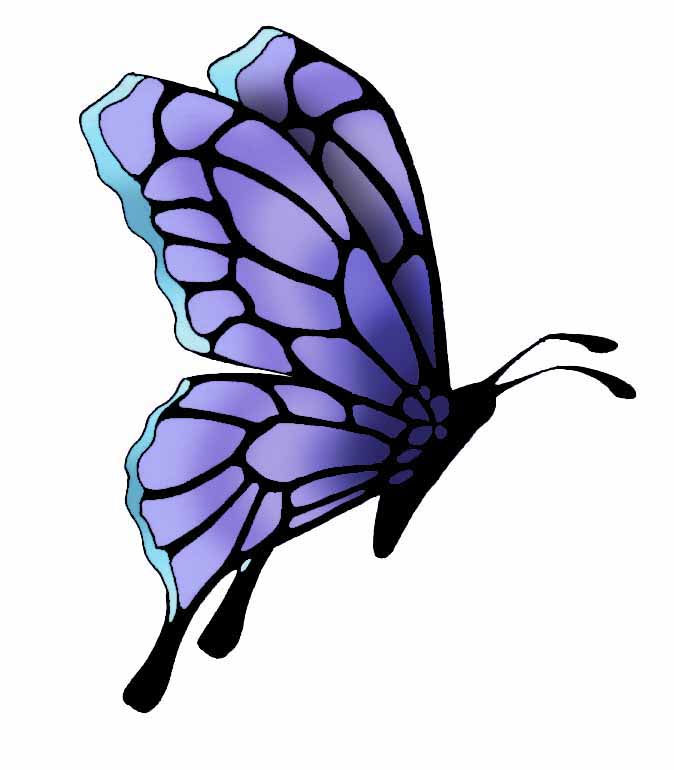 Butterfly Tattoos : Page 14