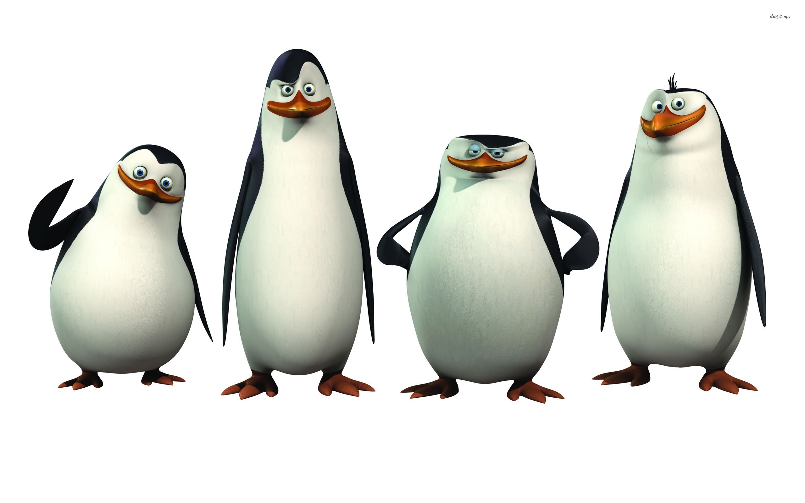 Images For > Funny Cartoon Penguins