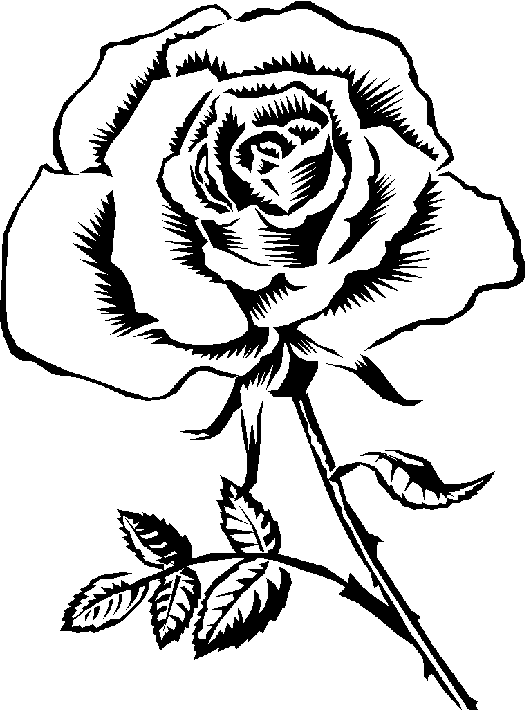 Black And White Drawings Of Roses - ClipArt Best
