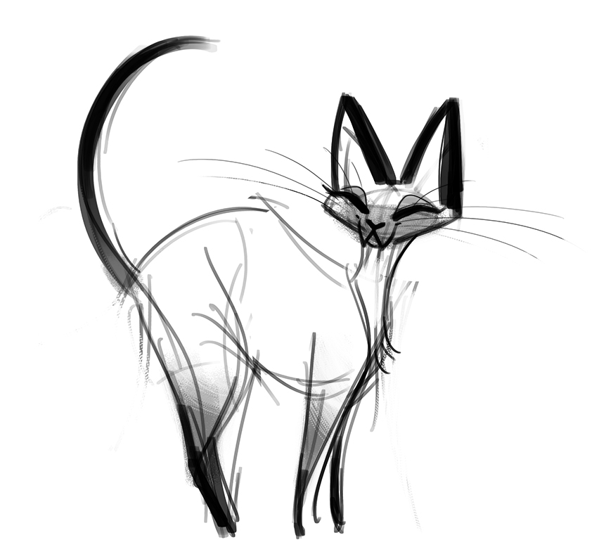 Daily Cat Drawings